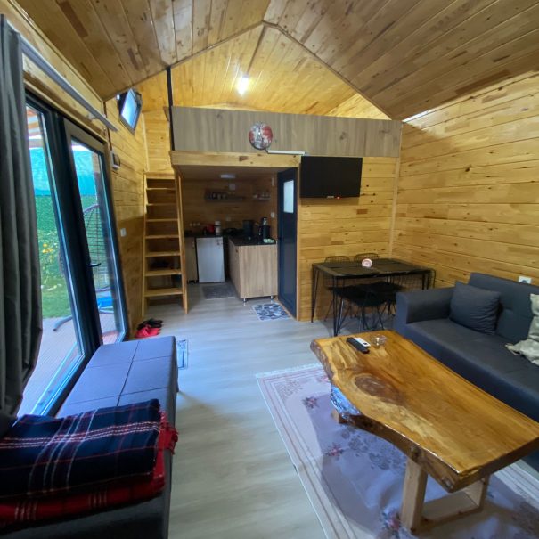 WhatsApp Image 2024-12-23 at 15.31.50